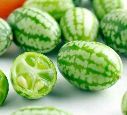 Vegetable - Cucamelon - 60 Seeds